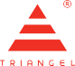 Primary Raster logo